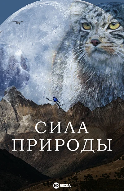 Постер к Сила природы
